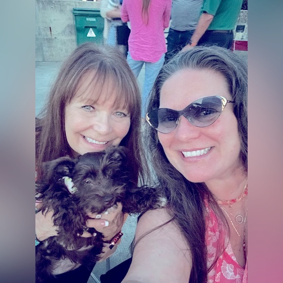 Meet the posher - Picture 11 of 13